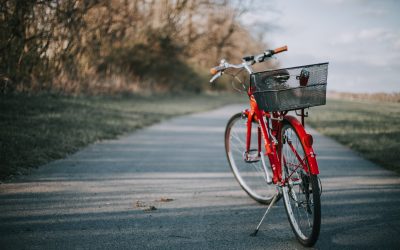 ITINERARI IN BICI